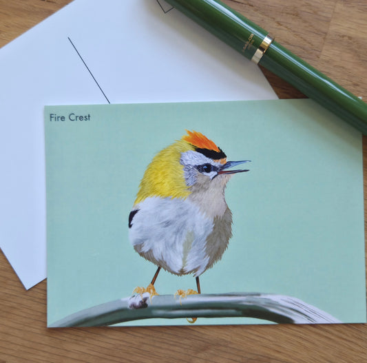 Firecrest bird illustrated post card
