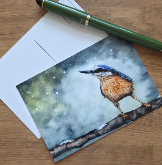 Nuthatch illustrated post card