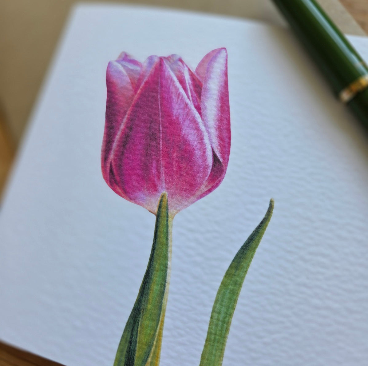 Tulip floral Greetings Card