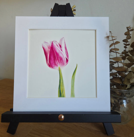 Tulip Art Print