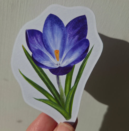 Illustrated Purple Crocus Sticker | Botanical Floral Art Sticker | Spring Flower Gift Sticker