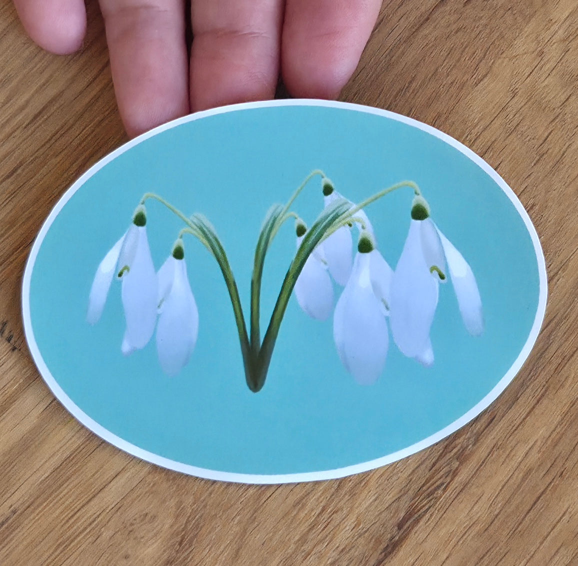 Illustrated White Snowdrop Sticker | Botanical Floral Art Sticker | Spring Flower Gift Sticker