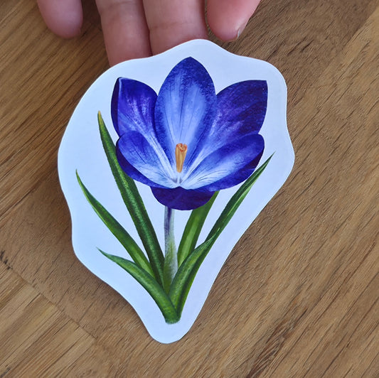 Illustrated Purple Crocus Sticker | Botanical Floral Art Sticker | Spring Flower Gift Sticker