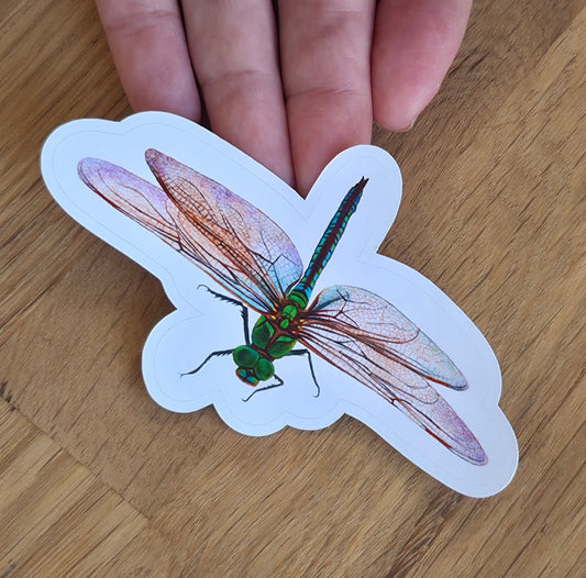Handmade illustrated  Dragonfly Sticker | Hand-drawn (colour pencil)  Illustration Art Sticker