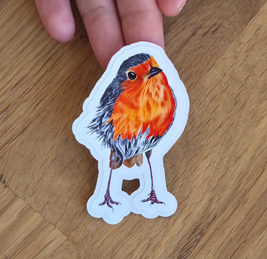 Handmade illustrated  Robin Sticker | Hand-drawn (digital) Illustration Art Sticker