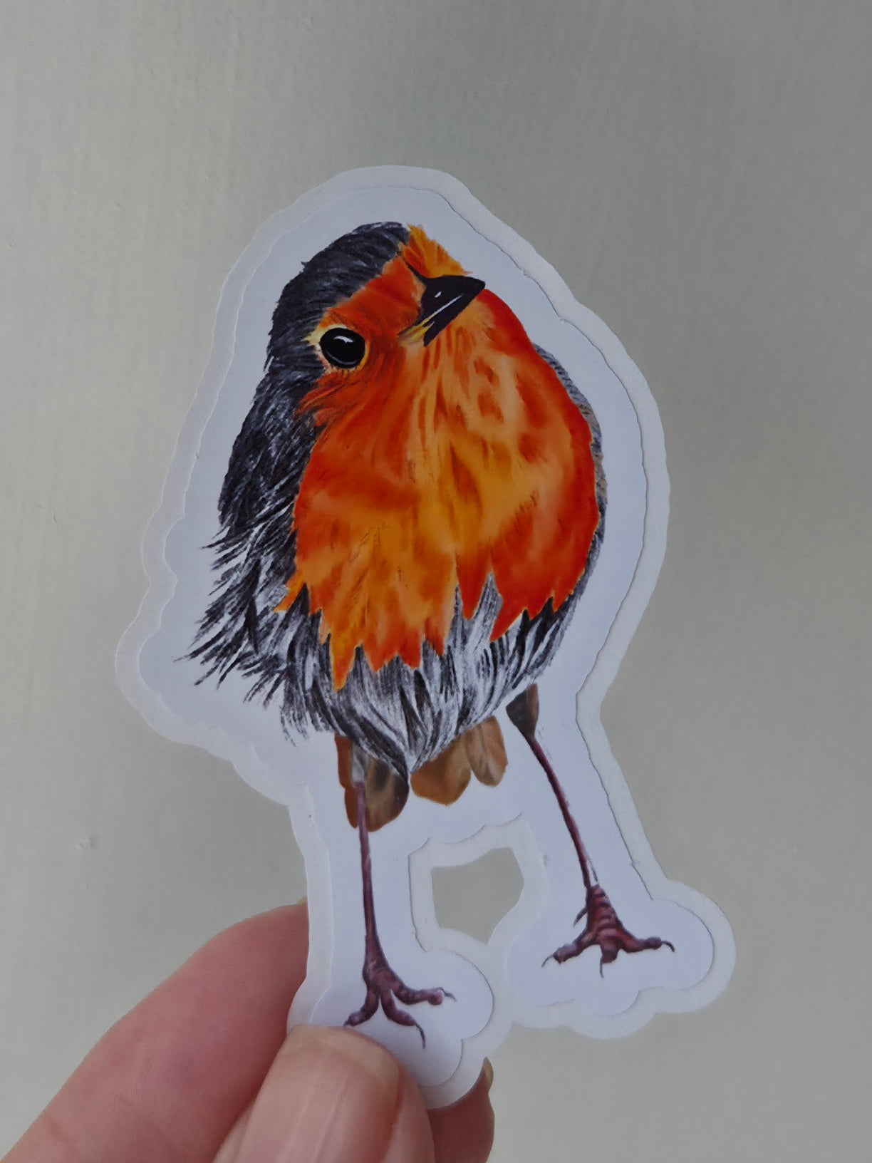Handmade illustrated  Robin Sticker | Hand-drawn (digital) Illustration Art Sticker