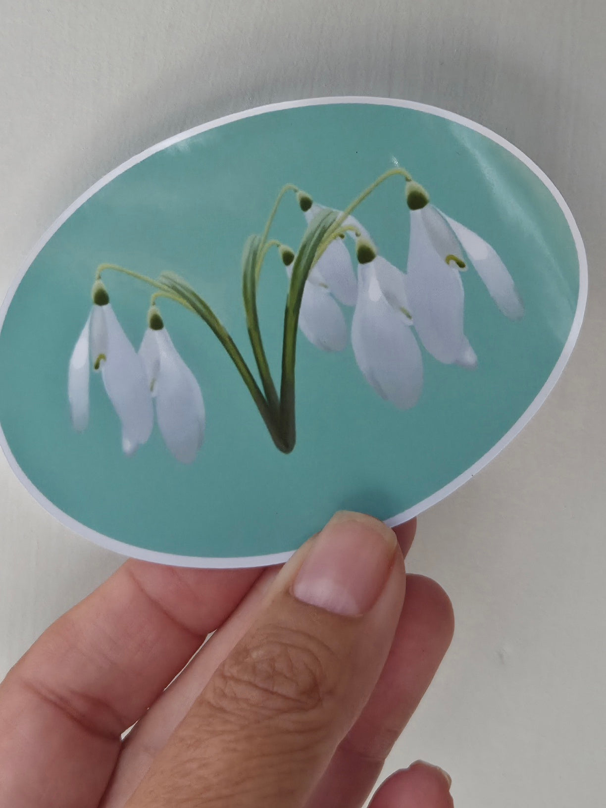 Illustrated White Snowdrop Sticker | Botanical Floral Art Sticker | Spring Flower Gift Sticker