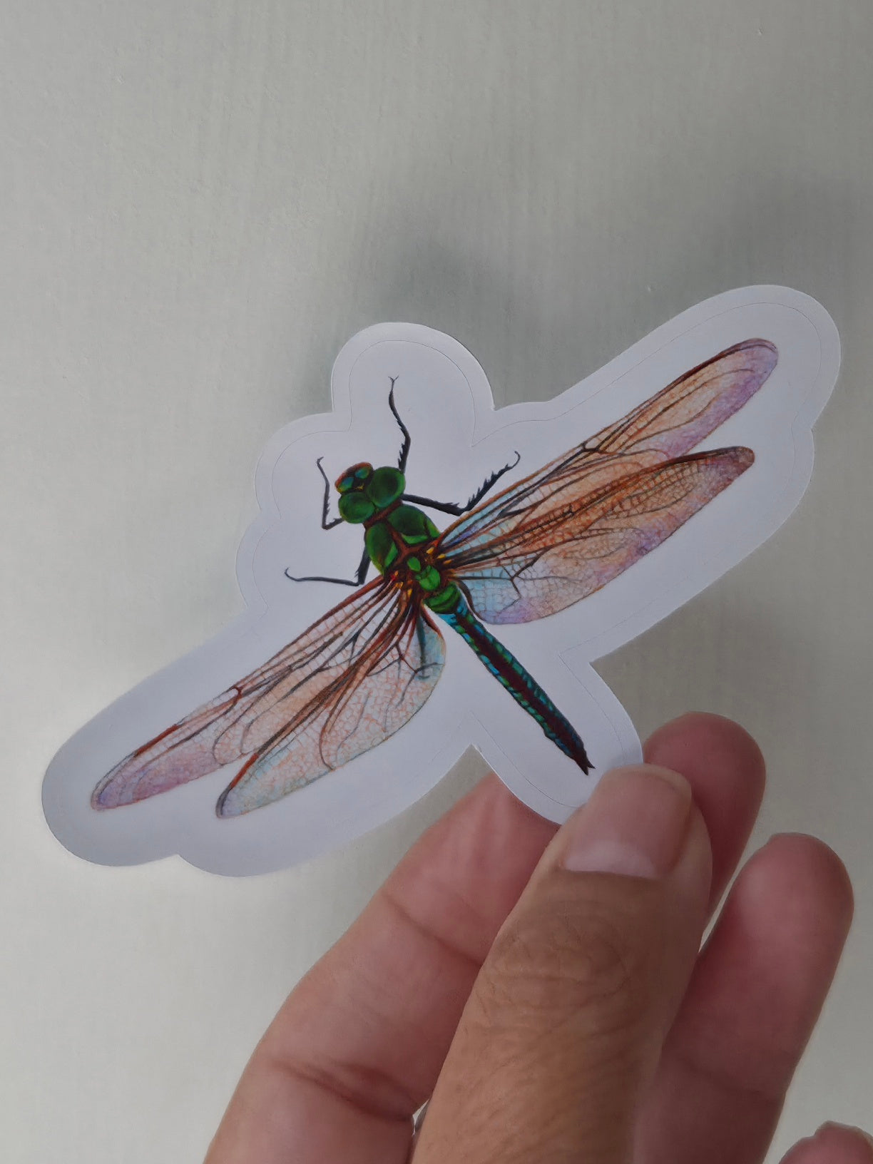 Handmade illustrated  Dragonfly Sticker | Hand-drawn (colour pencil)  Illustration Art Sticker