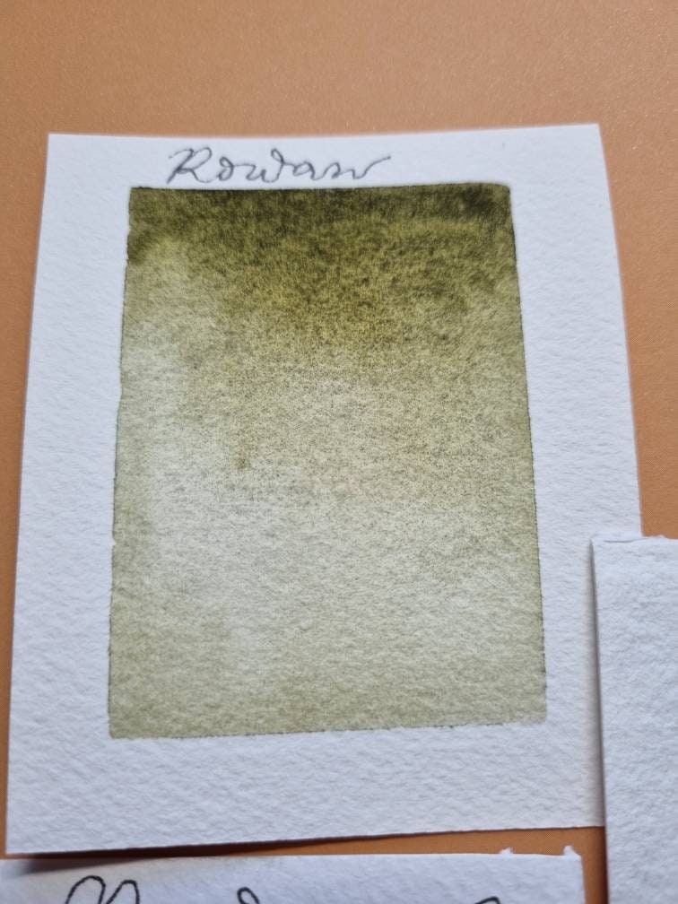Handmade watercolour paint | Rowan | Autumn Leaves Collection | granulating leaf green