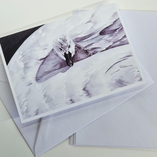 Swan Art Print Notecards - Handmade A6 Greeting Cards, Set of 6