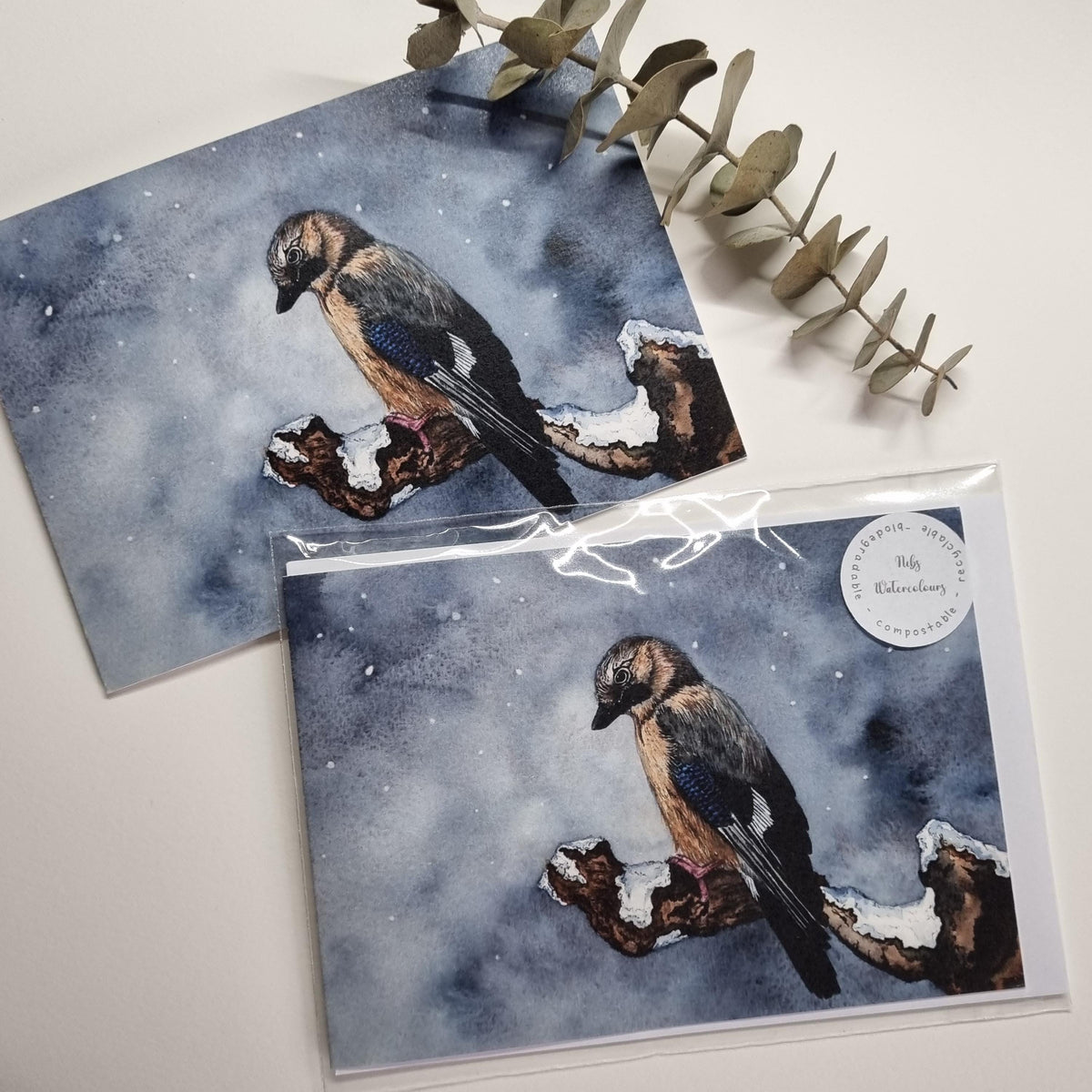 Jay Bird Watercolor Christmas Card | Handcrafted Holiday Greeting