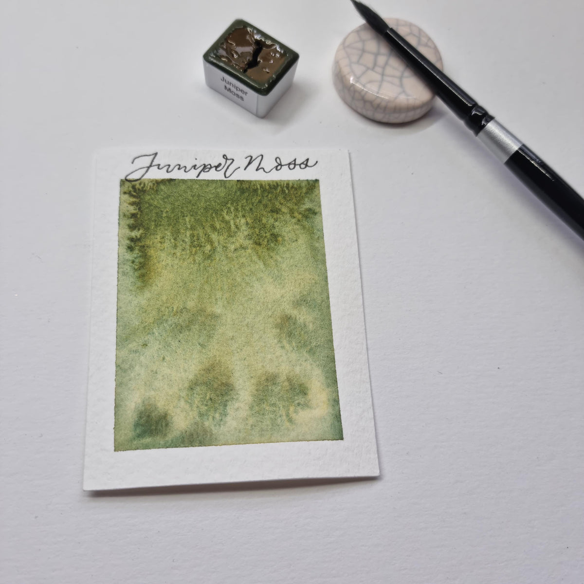 Handmade watercolour paint | granulating/separating Dark Green/yellow |  Juniper Moss | artist gift