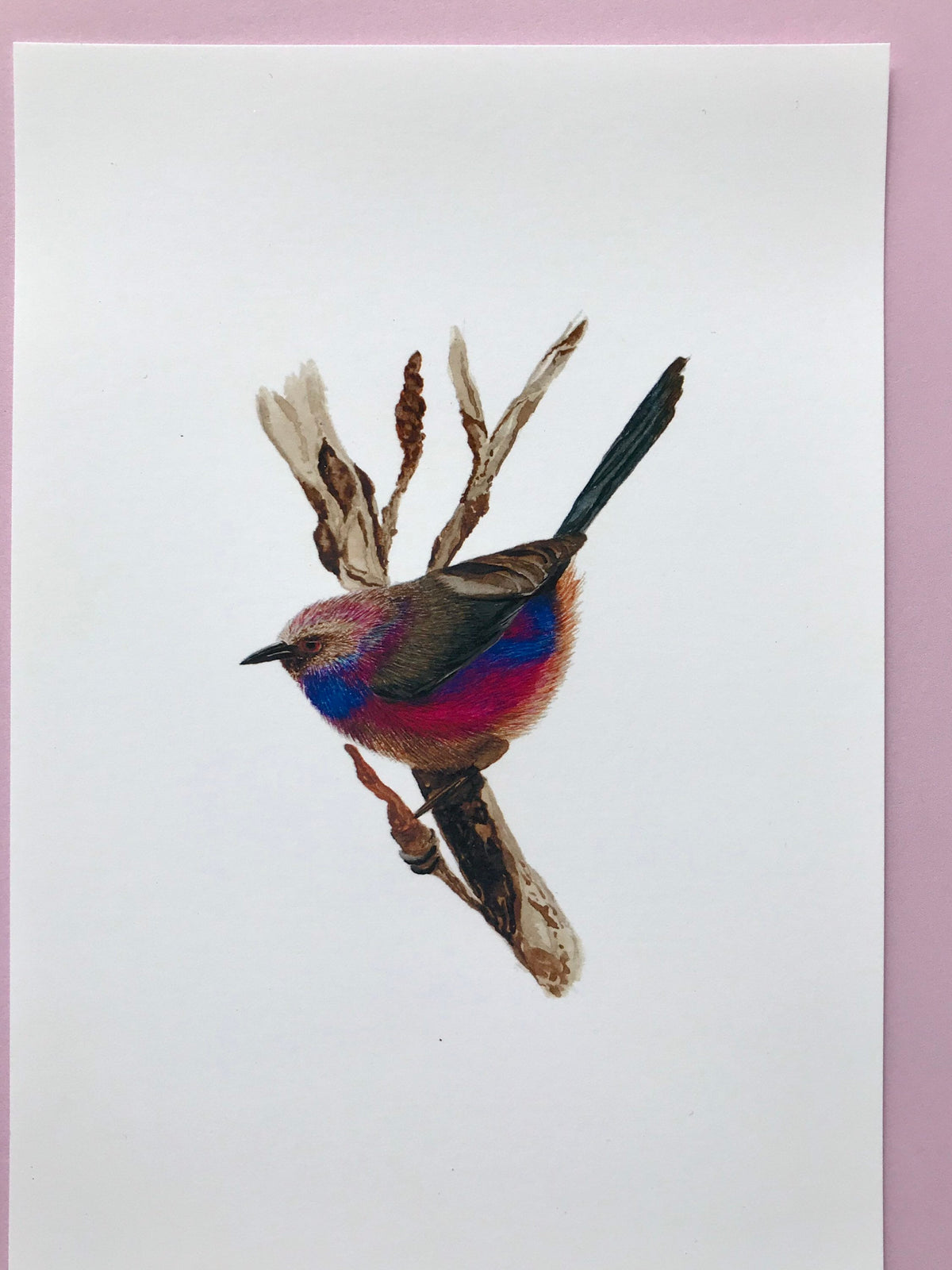 A5 hand painted Watercolour print White Browed Tit Warbler Print | Wildlife | Bird | wall art