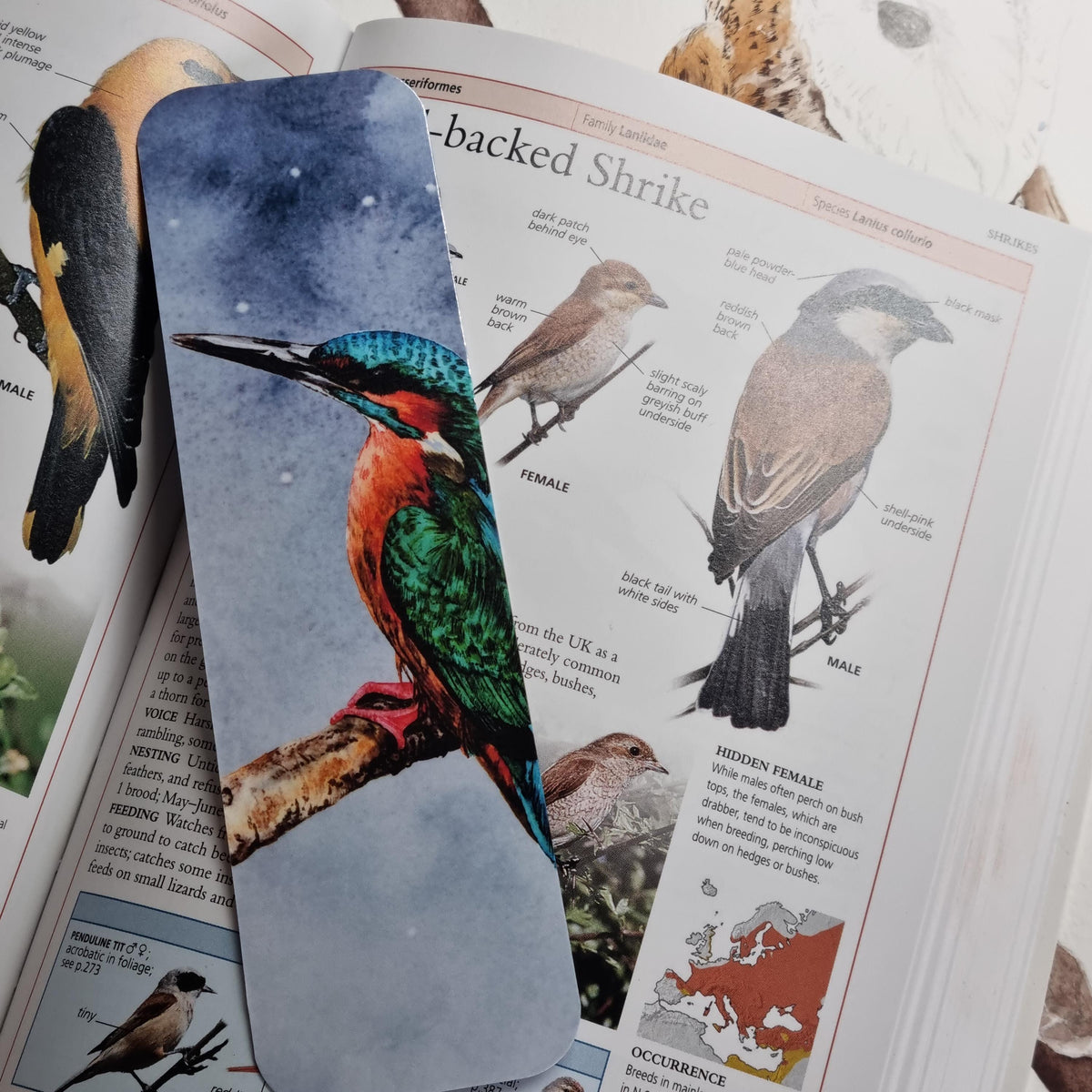 Handmade Kingfisher Bookmark | Watercolor Art Print, Nature Lover Gift | Laminated double sided