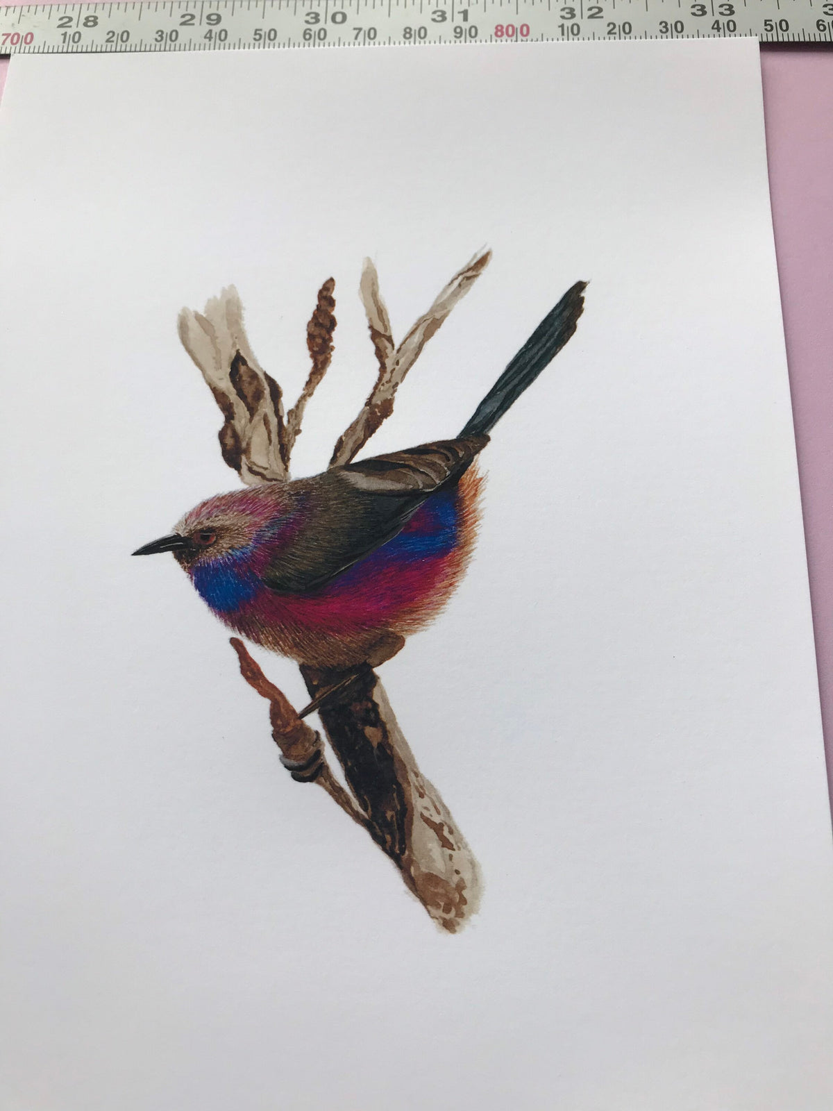 A5 hand painted Watercolour print White Browed Tit Warbler Print | Wildlife | Bird | wall art
