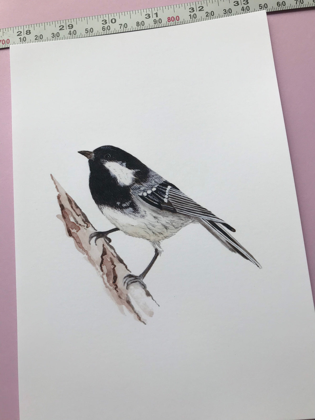 A5 hand painted Watercolour print  Coal Tit Print | Wildlife | Bird | wall art