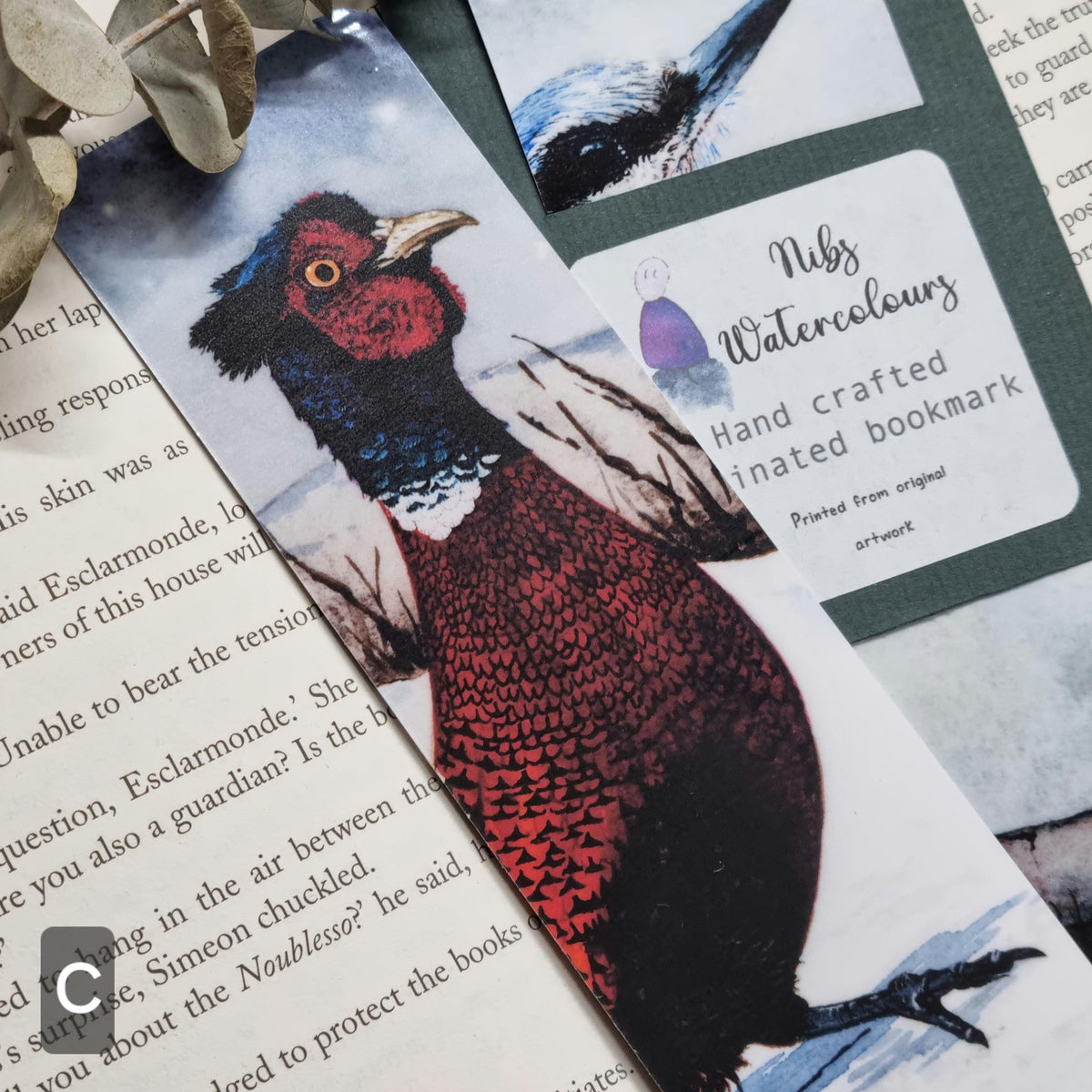 Watercolor Jay Bird Bookmark | Laminated Art Print