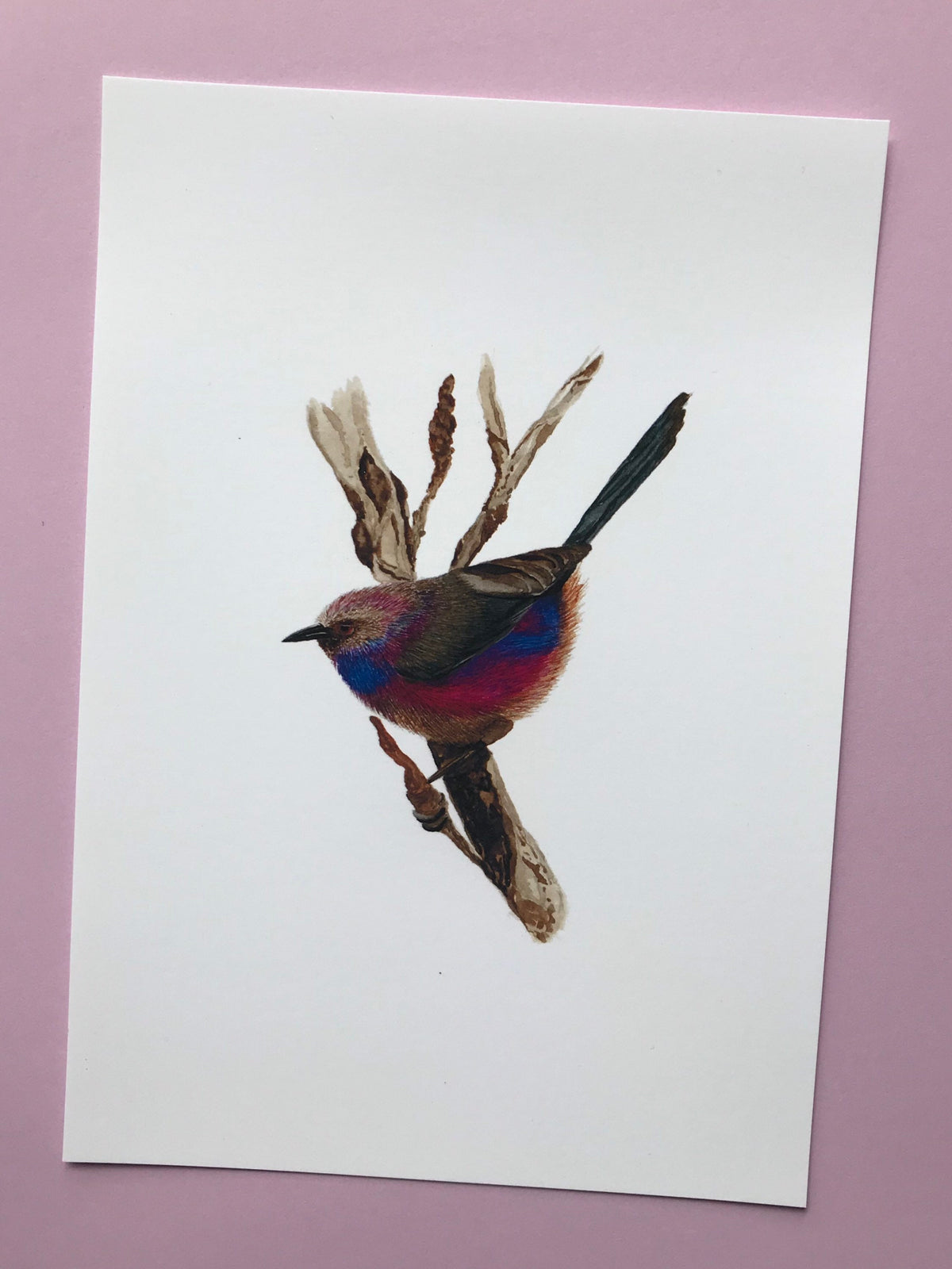 A5 hand painted Watercolour print White Browed Tit Warbler Print | Wildlife | Bird | wall art
