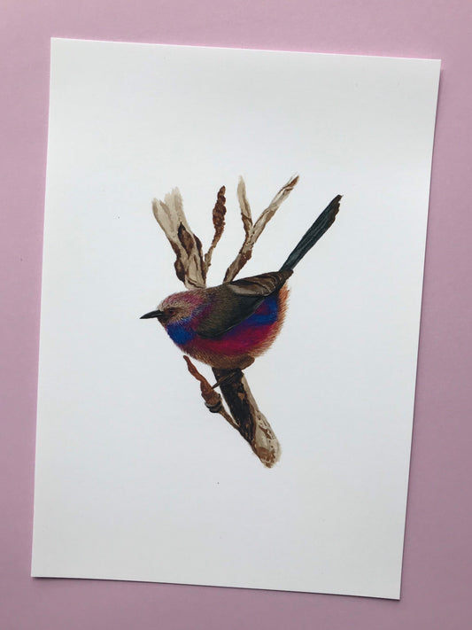 A5 hand painted Watercolour print White Browed Tit Warbler Print | Wildlife | Bird | wall art