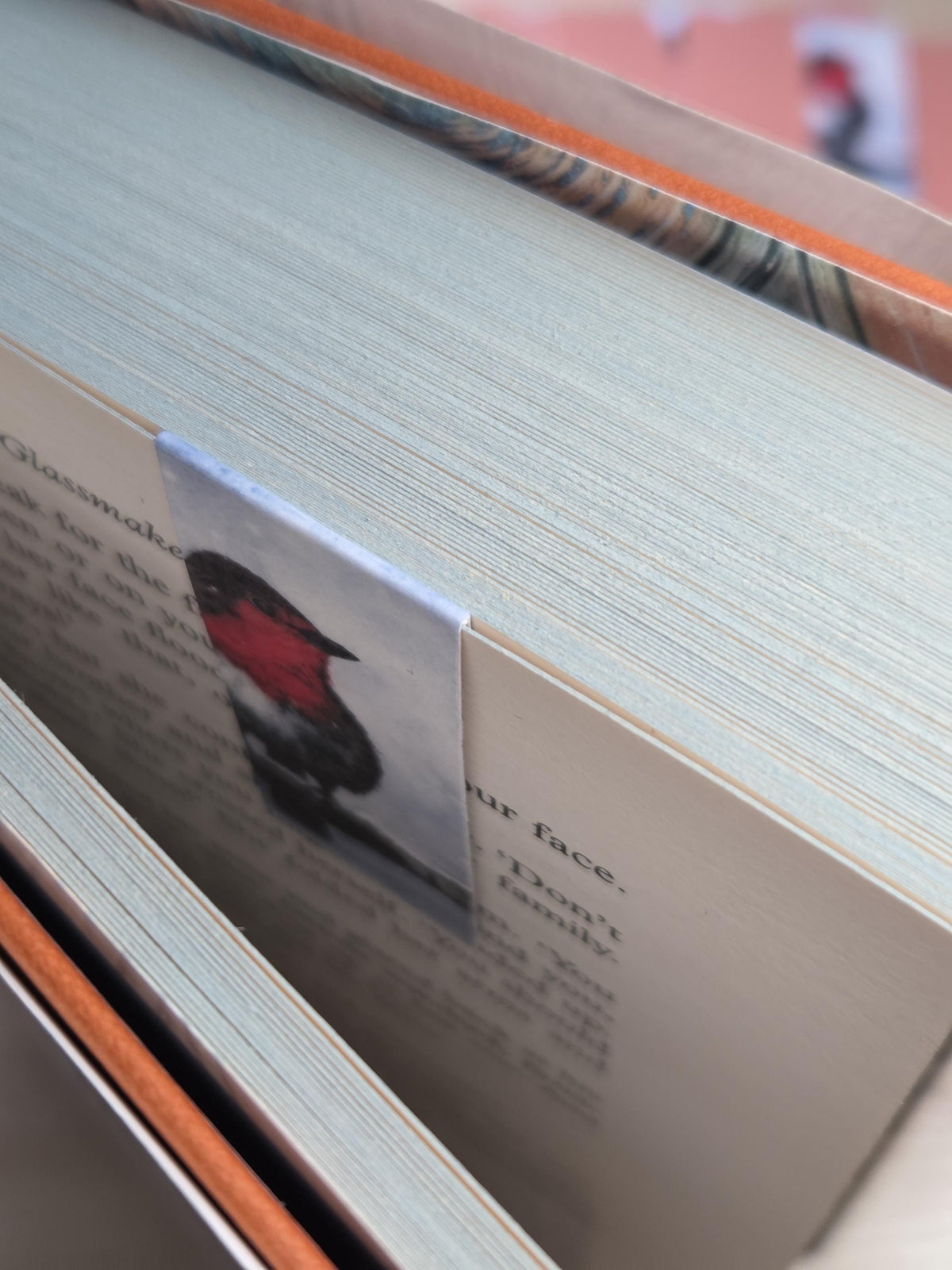 Robin Magnetic Bookmark | Watercolor Bird Art