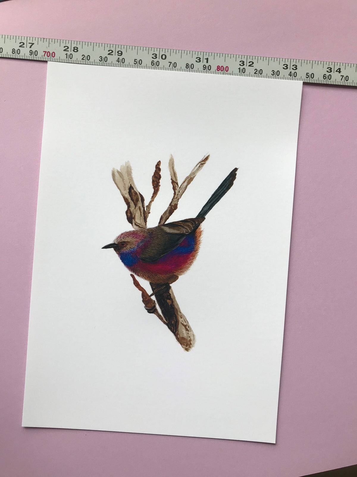 A5 hand painted Watercolour print White Browed Tit Warbler Print | Wildlife | Bird | wall art