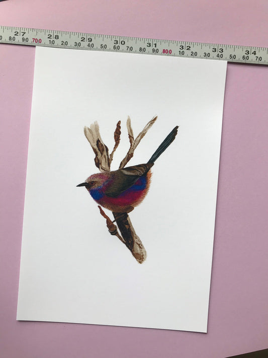 A5 hand painted Watercolour print White Browed Tit Warbler Print | Wildlife | Bird | wall art