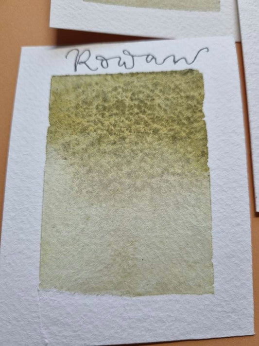 Handmade watercolour paint | Rowan | Autumn Leaves Collection | granulating leaf green