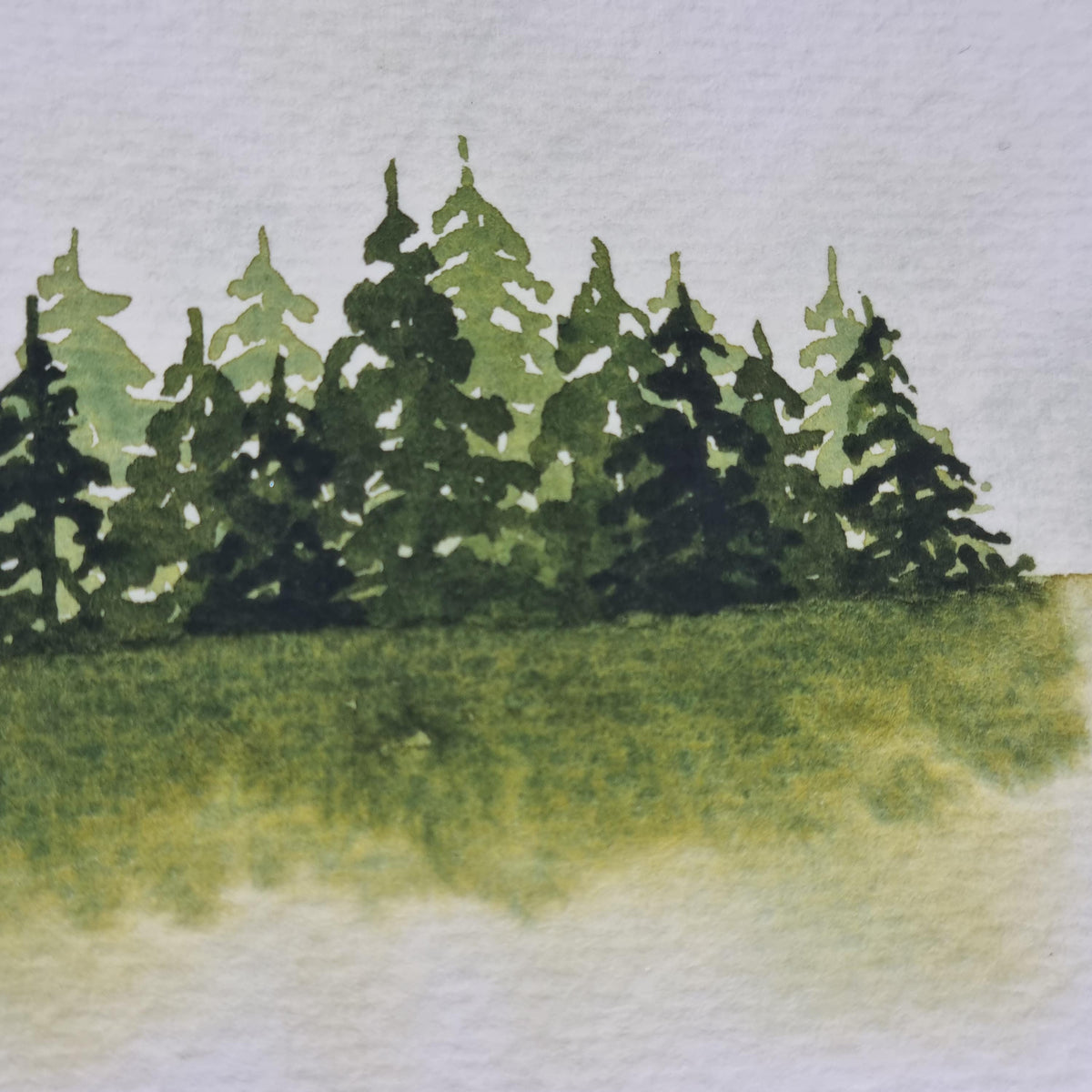 Handmade watercolour paint | granulating/separating Dark Green/yellow |  Juniper Moss | artist gift