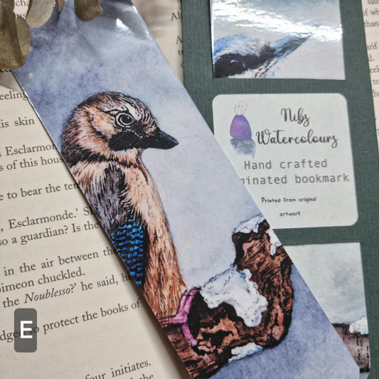 Watercolor Jay Bird Bookmark | Laminated Art Print