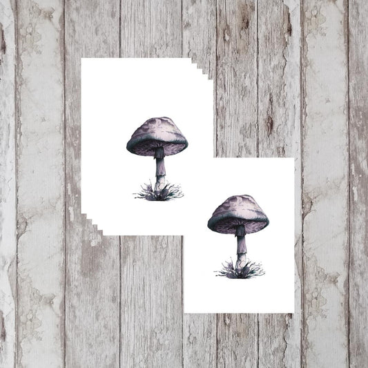 Mushroom Art Print Notecards - Handmade Watercolor Illustration, Set of 6