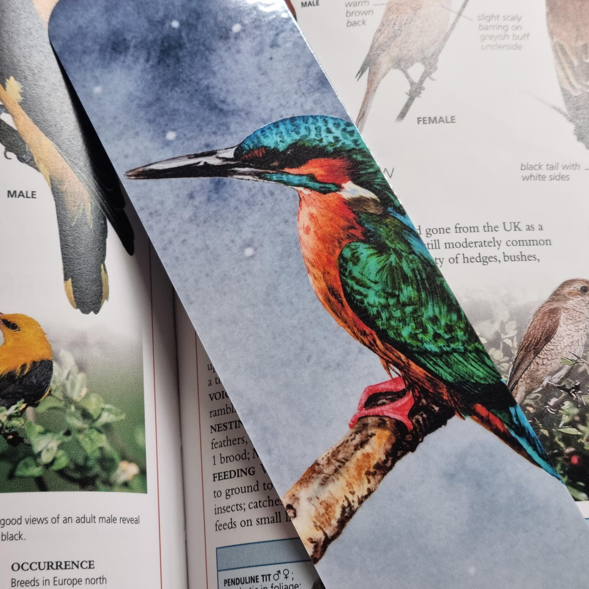 Handmade Kingfisher Bookmark | Watercolor Art Print, Nature Lover Gift | Laminated double sided