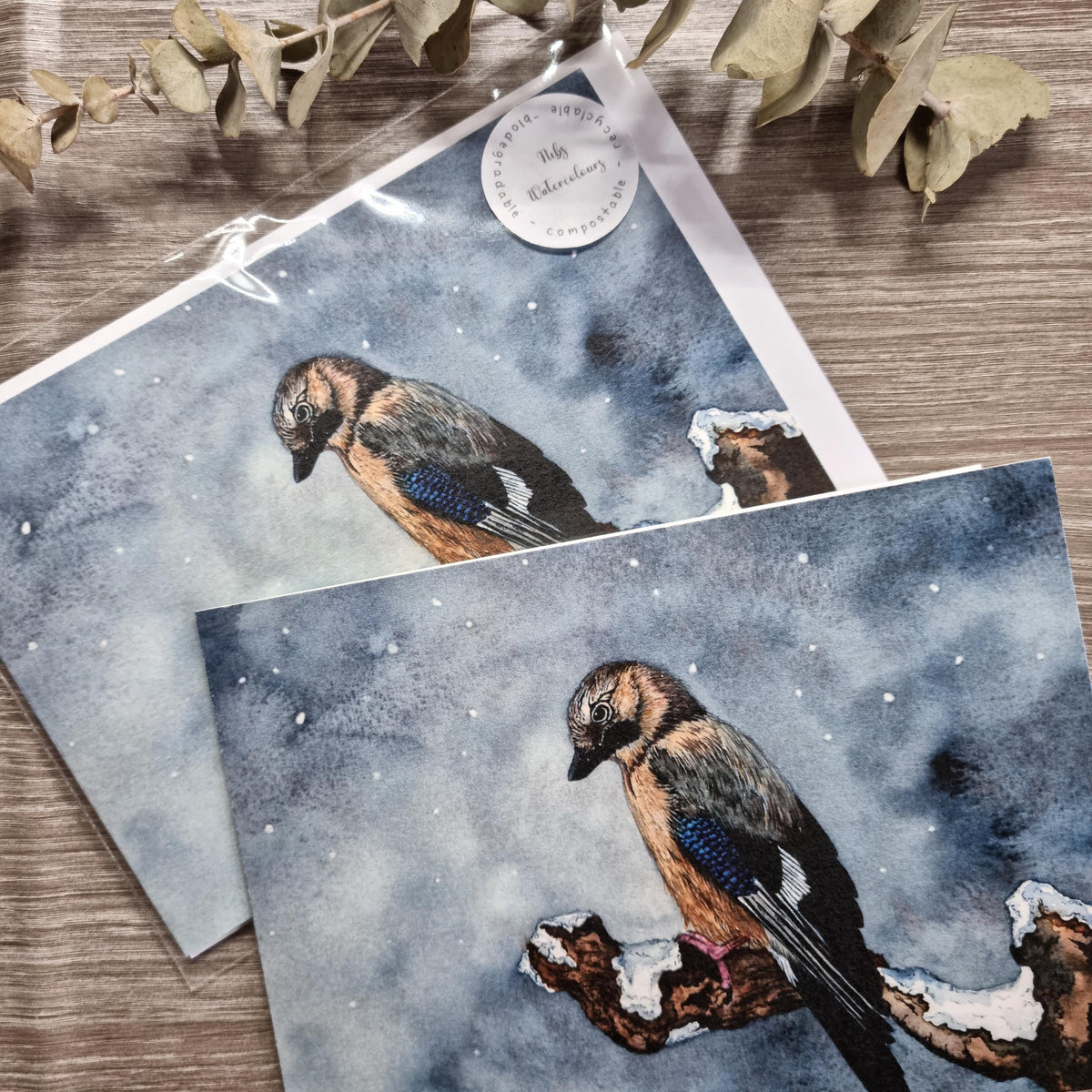 Jay Bird Watercolor Christmas Card | Handcrafted Holiday Greeting