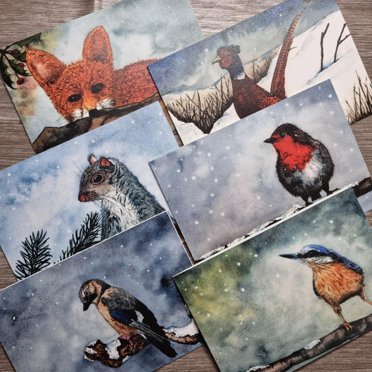 Watercolor Christmas Cards | UK Wildlife Art Print, Pack of 12