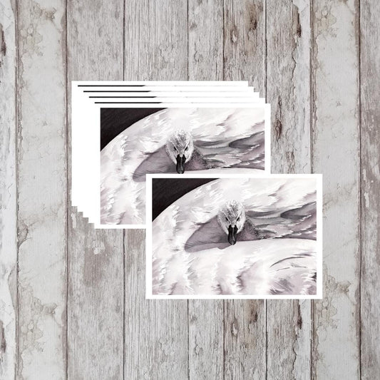 Swan Art Print Notecards - Handmade A6 Greeting Cards, Set of 6