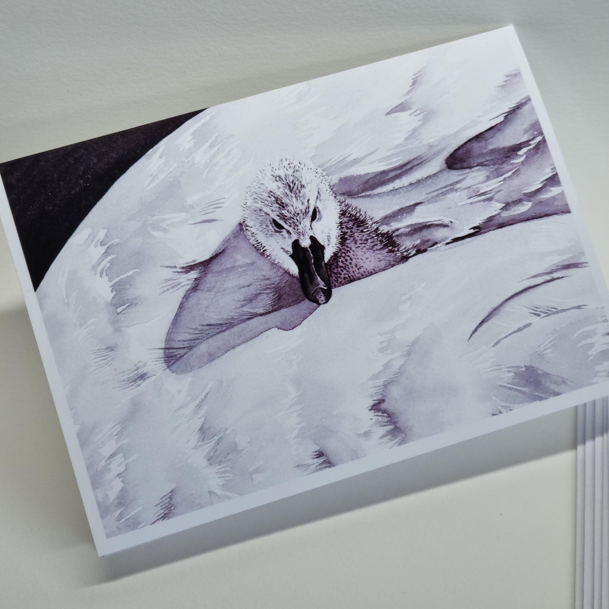 Swan Art Print Notecards - Handmade A6 Greeting Cards, Set of 6