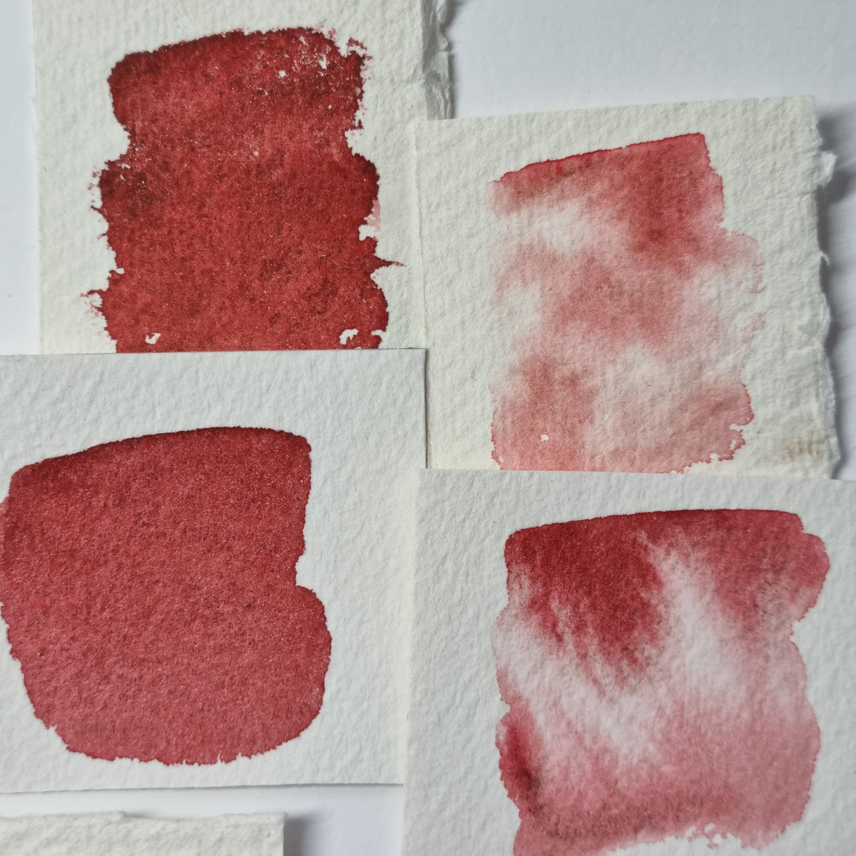 handmade watercolour paint | granulating red | Autumn Leaves Collection  | Maple |