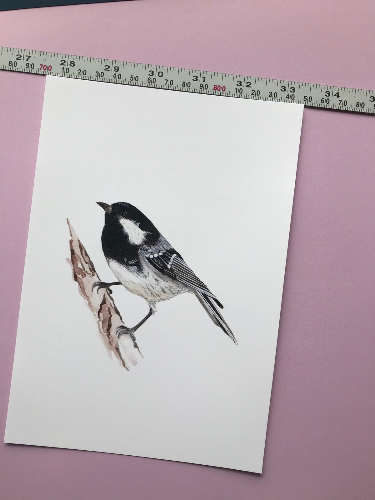 A5 hand painted Watercolour print  Coal Tit Print | Wildlife | Bird | wall art
