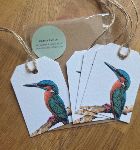 Set of 4 gift tags: Kingfisher